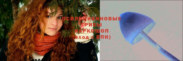 соль курить ск Арсеньев